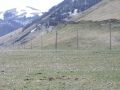 Piani di Castelluccio