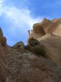 Lame Rosse