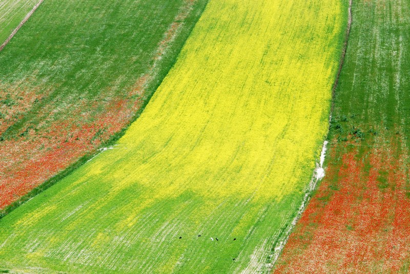 Pennellate di primavera