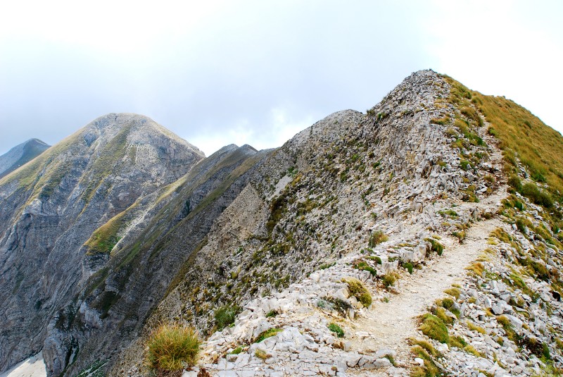 Le creste