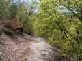 Il sentiero (Val di Bove)