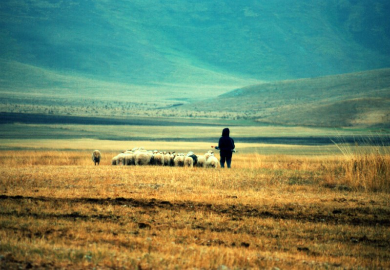 Pian perduto