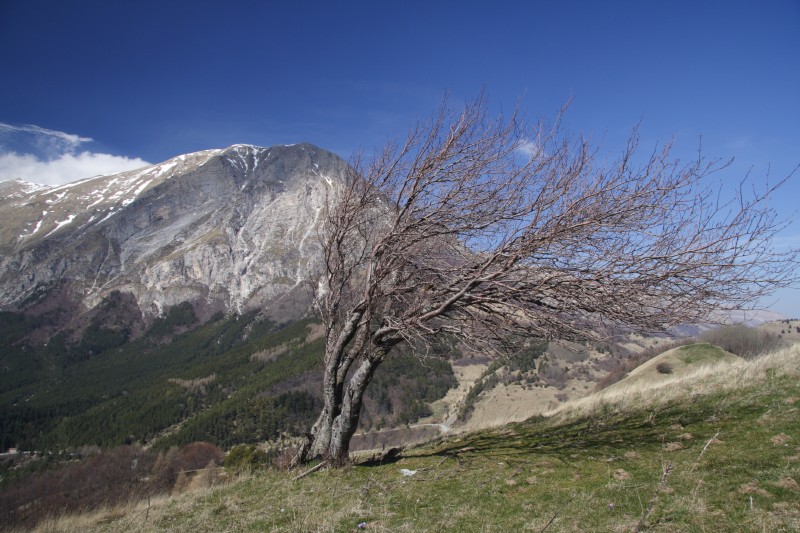 Monte Vettore - Zona Passo Galluccio
