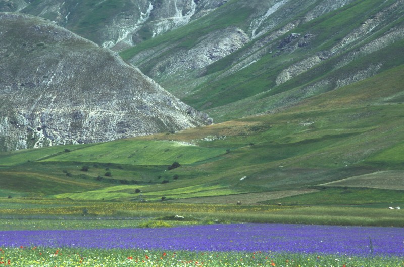 Firitura  Castelluccio  Castelluccioalle delle Fonti