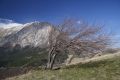 Monte Vettore - Zona Passo Galluccio