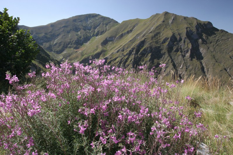 Dalla strada del Fargno
