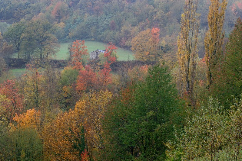 Montegallo (Rascio)