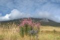 Monte Vettore - Pizzo del Diavolo