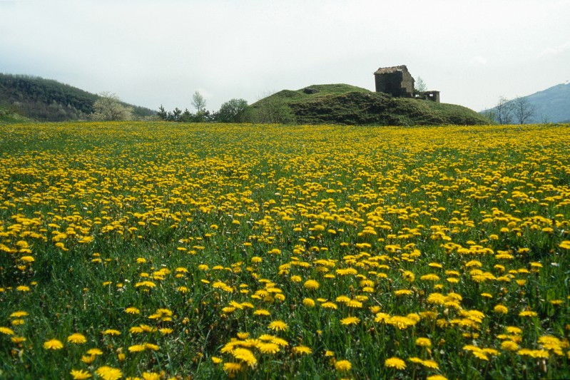 Casale Vecchio