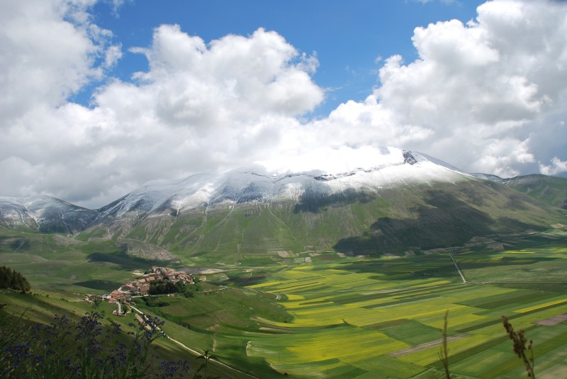 Neve di primavera