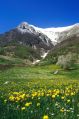 M. Vettore in primavera