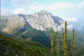  M. Bove Nord