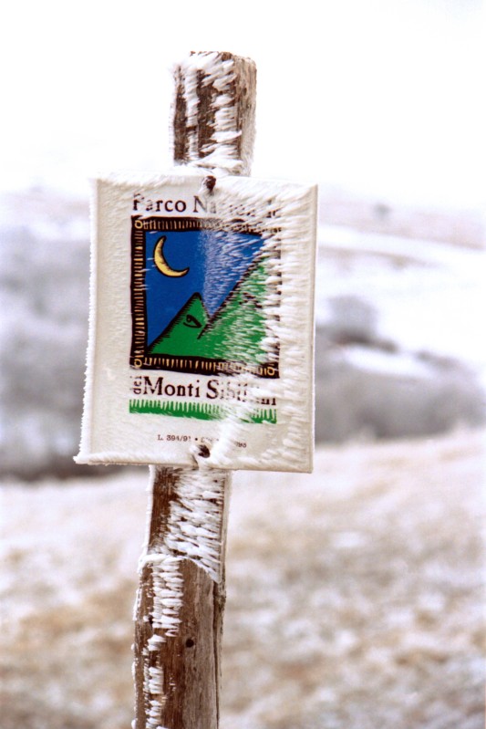  Il freddo avvolge il parco