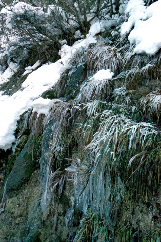  La natura incontra l'inverno