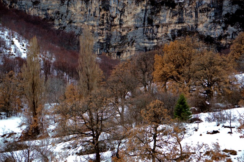  L'inverno in un quadro