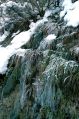  La natura incontra l'inverno