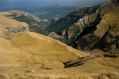  L'affascinante aggressivit�