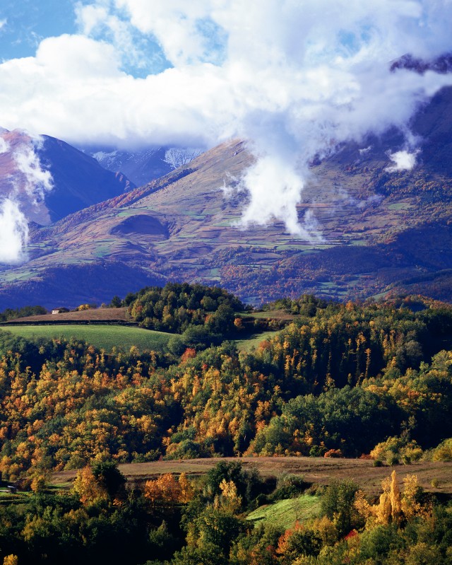 D'autunno