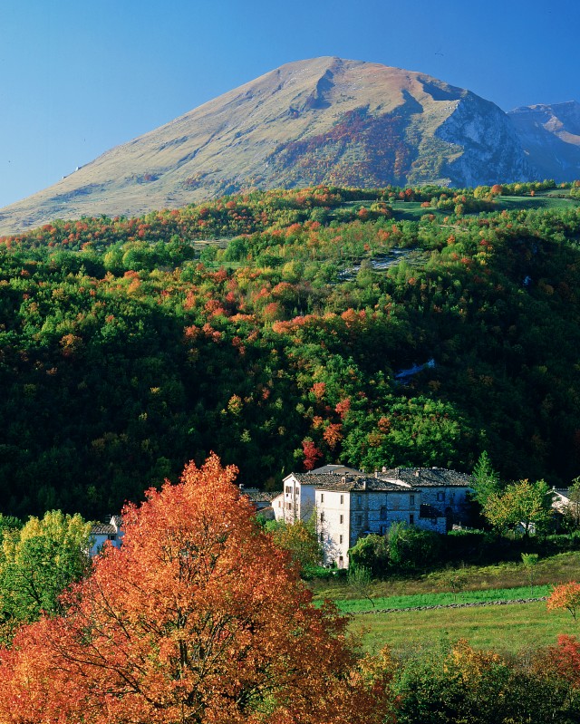 D'autunno