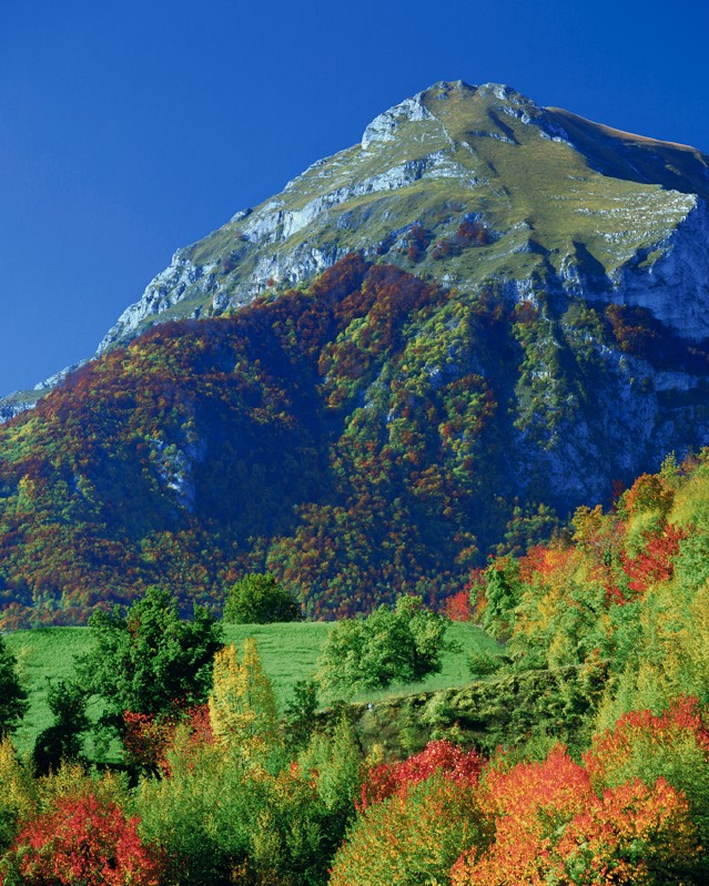 Scende l'autunno