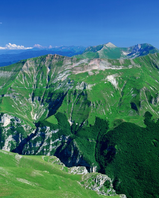 Sibilla e oltre