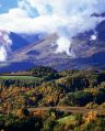 D'autunno