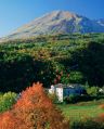 D'autunno