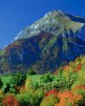 Scende l'autunno