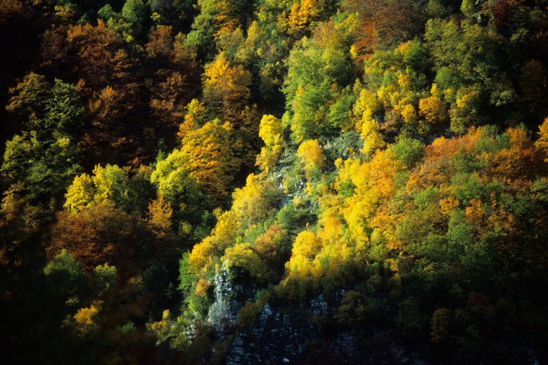 Colori d'autunno