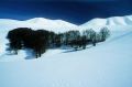 Tracce sulla neve