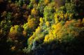 Colori d'autunno
