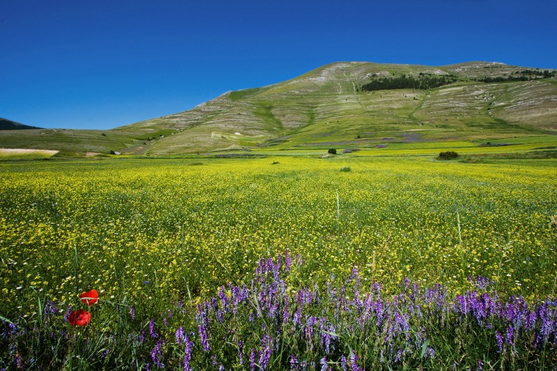 esplosione di colori ai piedi del monte Lieto