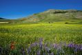 esplosione di colori ai piedi del monte Lieto
