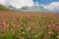 La natura si risveglia