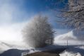 La nebbia si dissolve
