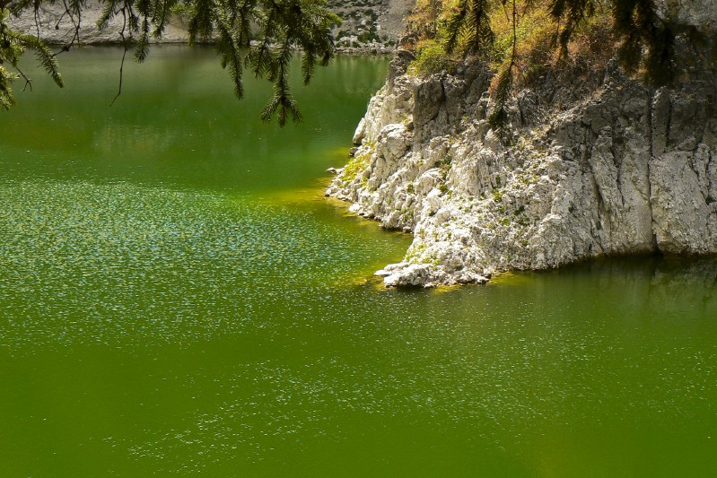 Incastonato di liquido smeraldo