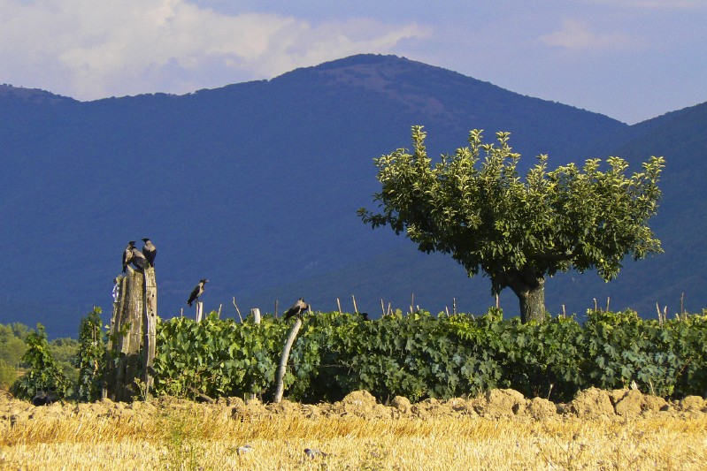 La valle