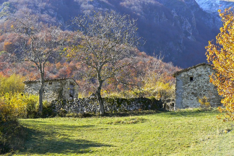 Umile e modesta viveva