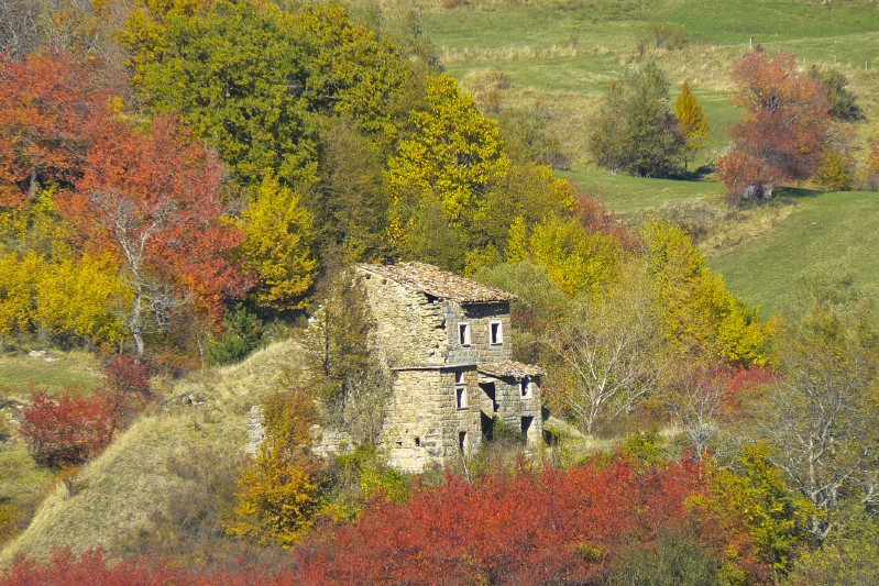 Di luce e tempo che tutto muta