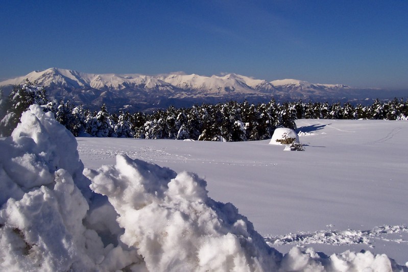 Skyline invernale