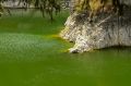 Incastonato di liquido smeraldo