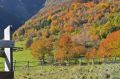 Quell'autunno mi scaldai