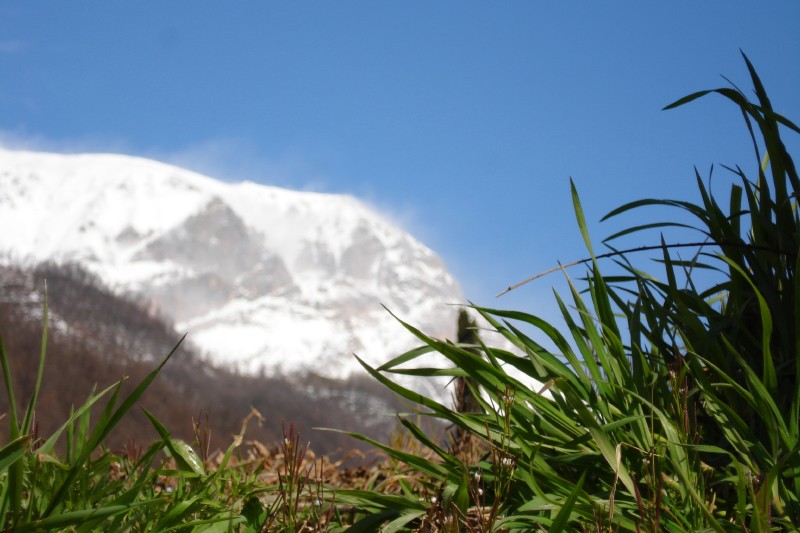 NEVE SPAZZATA DAL VENTO