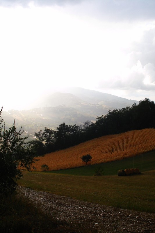 AUTUNNO