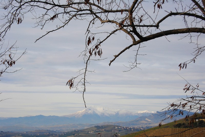 IL RIPOSO