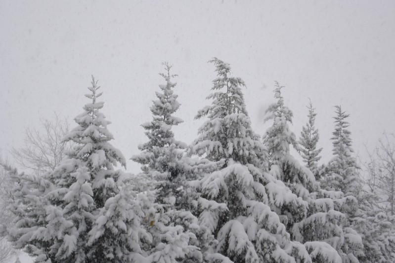 LA NEVE
