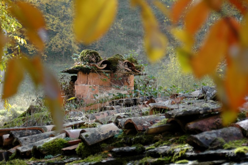 Forno d'autunno