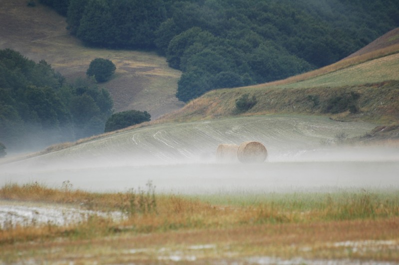 Nebbia agosto