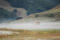 Nebbia agosto