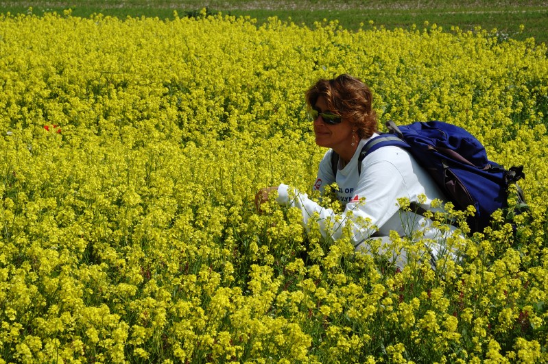 Ragazza tra i fiori